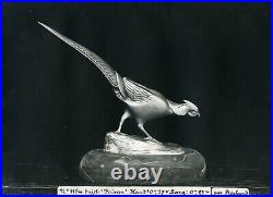 Art Déco Figure de Bronze, Argenté, Faisan/Faisan, (I). Rochard, 1940er Années F623