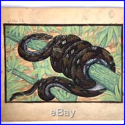 Serpent, dessin animalier, gouache aquarelle, argent / Jouve / Art Déco Snake